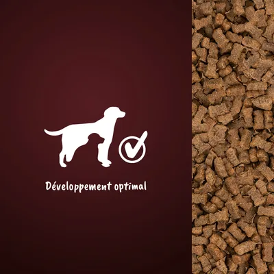 Développement optimal