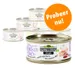 Gemengd Proefpakket Kip Greenwoods Delight 6 x 70 g