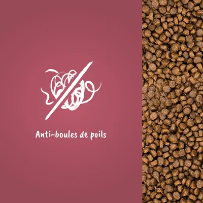 Texte visible : Anti-boules de poils, à côté d’un gros plan de croquettes marron. Mentionne la fonction anti-boules de poils du produit.