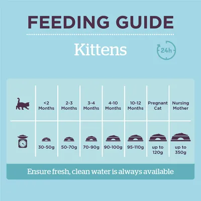 Feeding guide for kittens: under 2 months 30-50g, 2-3 months 50-70g, 3-4 months 70-90g, 4-10 months 90-100g, 10-12 months 95-110g, pregnant up to 120g, nursing up to 350g daily.