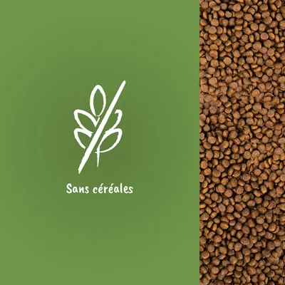 Croquettes en vrac à droite, icône épi barré et texte « Sans céréales » visibles à gauche sur fond vert.