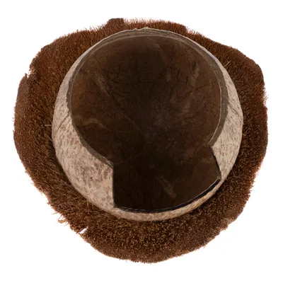 Demi-coque de noix de coco avec ouverture, posée sur sa fibre naturelle, matériau visible : coque et fibres de noix de coco.