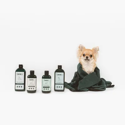 kooa Hundeshampoo-Serie mit vier Flaschen, daneben ein Chihuahua in einem grünen Handtuch. Produkt für die Fellpflege von Hunden.