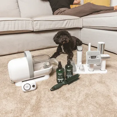 Black dog on carpet next to a set of grooming tools, brushes, clipper, two green spray bottles and a white vacuum device.
