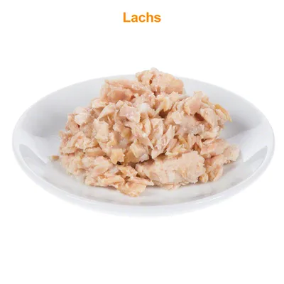 Porcija komadića lososa na bijelom tanjuru, iznad je natpis 'Lachs' (njemački za losos).