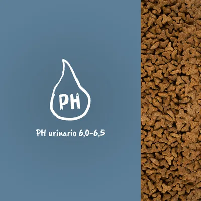 Pienso marrón en gránulos junto a texto: PH urinario 6,0–6,5. Ilustración de gota con las letras PH.
