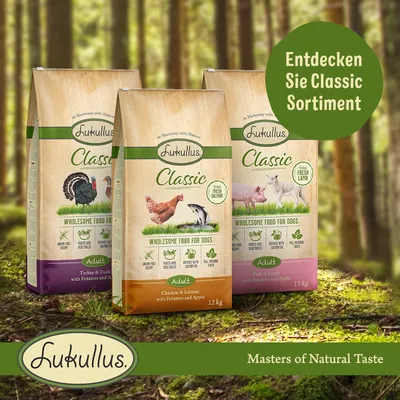 Sacs de croquettes Lukullus Classic pour chiens adultes, 12 kg, variétés dinde & canard, poulet & saumon, porc & agneau. Texte allemand : Entdecken Sie Classic Sortiment.
