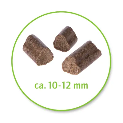 Afbeelding van drie brokjes met de tekst: ca. 10–12 mm, toont de grootte van het product voor aankoopbeslissing.