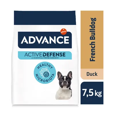 Advance French Bulldog с патешко