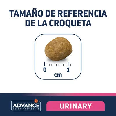 Tamaño de referencia de la croqueta Advance Veterinary Diets Urinary: imagen de una croqueta junto a regla en centímetros, longitud aproximada 1 cm.