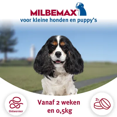 MILBEMAX voor kleine honden en puppy’s, ontwormer, vanaf 2 weken en 0,5 kg, afbeelding van hond, symbool 2x tabletten zichtbaar.