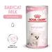 Royal Canin Babycat Milk