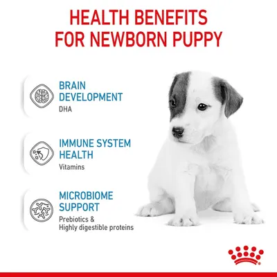 HEALTH BENEFITS FOR NEWBORN PUPPY: BRAIN DEVELOPMENT DHA, IMMUNE SYSTEM HEALTH Vitamins, MICROBIOME SUPPORT Prebiotics & Highly digestible proteins. Tekst na engleskom jeziku.