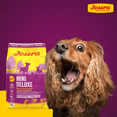 Sac Josera Mini Deluxe Adult 10 kg, croquettes petites avec agneau, sans céréales. Texte visible : German quality, super premium pet food, getreidefrei/grain free. Chien à poil long en avant-plan.