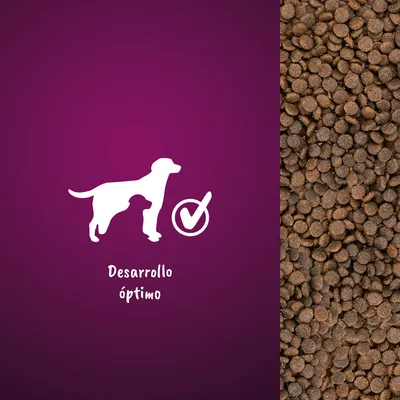 Pienso marrón en gránulos junto a icono de perro con marca de verificación y texto: Desarrollo óptimo.