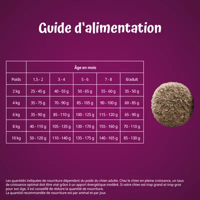 Guide d’alimentation pour chiens : tableau des quantités journalières recommandées selon poids (2–10 kg) et âge (1,5 mois à adulte), valeurs de 25 à 175 g.