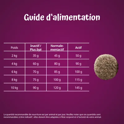 Guide d’alimentation : tableau des quantités recommandées par poids (2–10 kg) et niveau d’activité, de 35 g à 145 g par jour. Texte explicatif en bas de l’image.