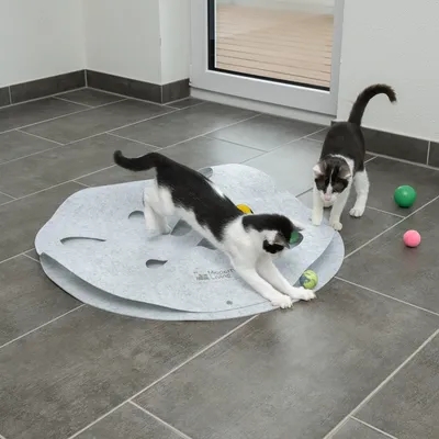 Zwei Katzen spielen mit einer grauen Spielmatte von Modern Living, die Löcher und bunte Bälle enthält.