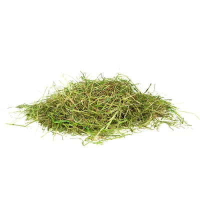 Mucki Mountain Meadow Hay