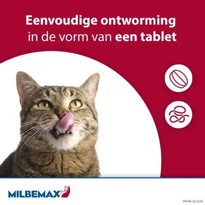 Milbemax Kleine Kat (NL)