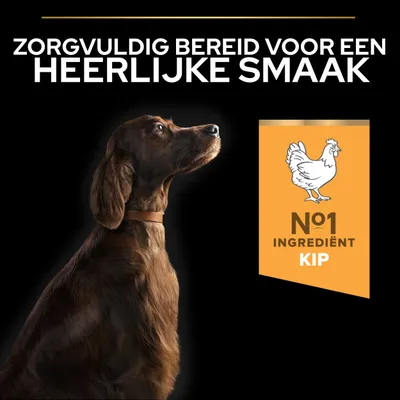 Zorgvuldig bereid voor een heerlijke smaak. Nr. 1 ingrediënt: kip.