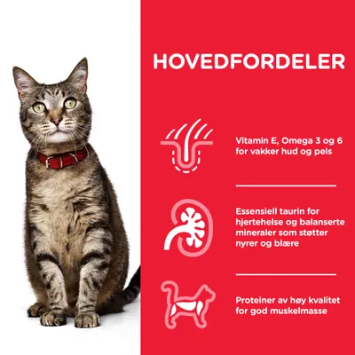 Hill's Science Plan Adult