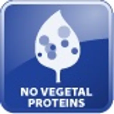 NO VEGETAL PROTEINS (κείμενο στα αγγλικά)