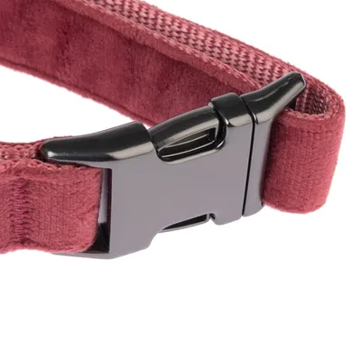 Närbild av ett rött halsband med svart plastspänne och mjuk textilvaddering.