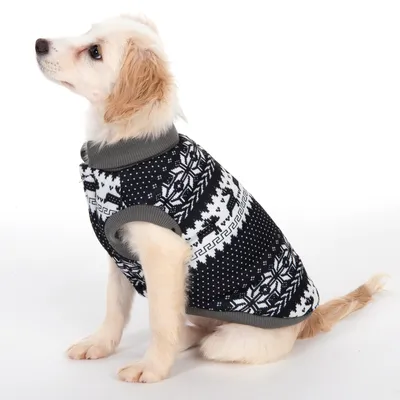 Hund bär svart tröja med vitt snöflinge- och renmönster samt grå krage och muddar.