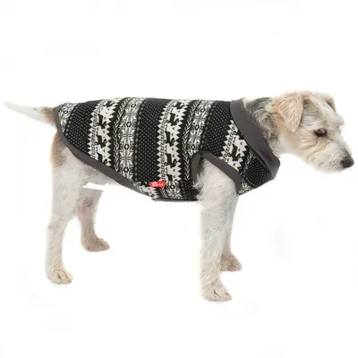 Animal wearing a patterned black and white coat, showing fit and coverage of the garment.