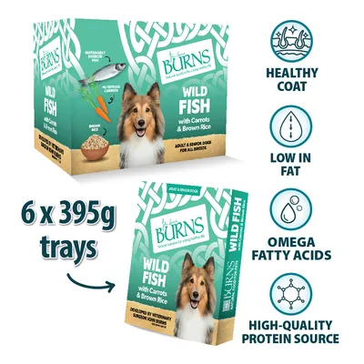 Burns Wild Fish with Carrots & Brown Rice, 6 x 395g trays. Features: healthy coat, low in fat, omega fatty acids, high-quality protein source. For adult and senior dogs.