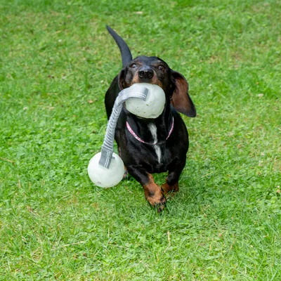 Nomad Tales Spirit светящийся мяч с веревкой