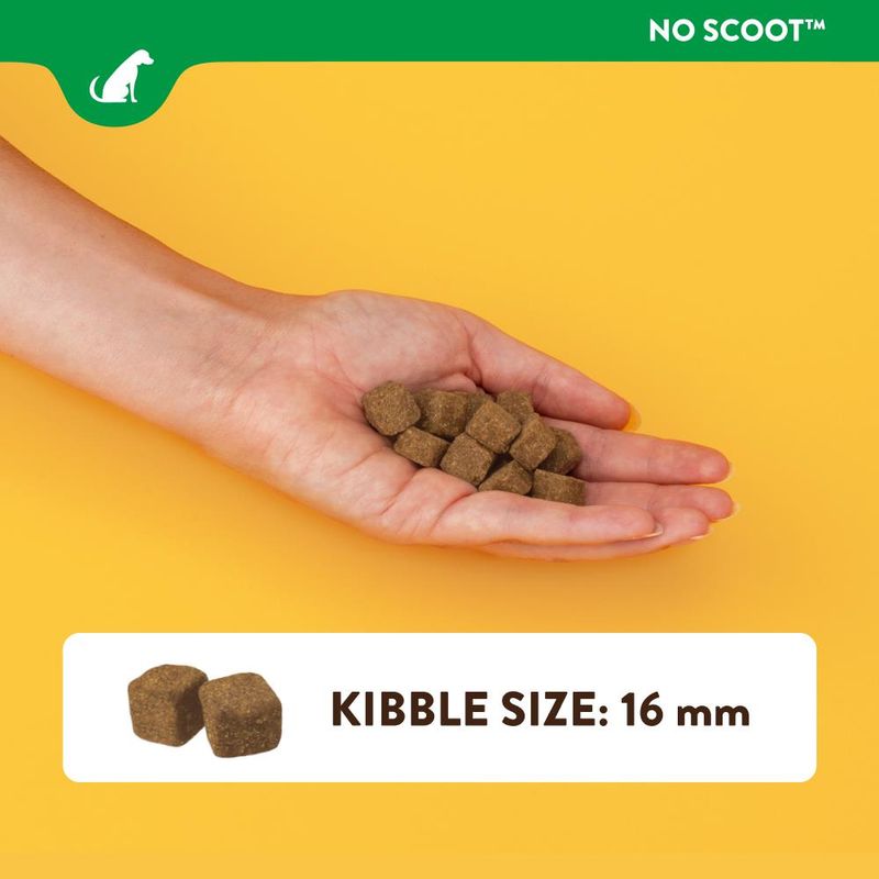 NaturVet No Scoot