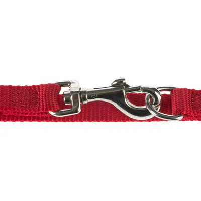 Rote Hundeleine mit silbernem Metallkarabiner und Ringverschluss, aus robustem Gewebematerial.