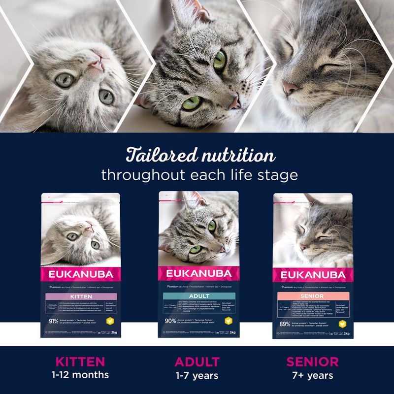 Eukanuba Healthy Start Kitten