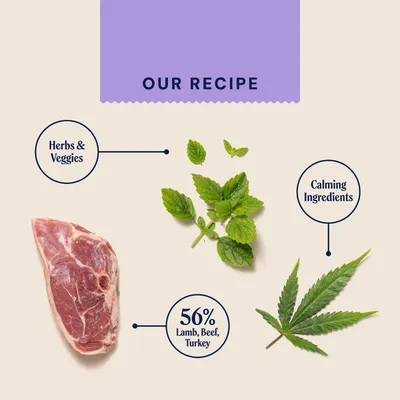 Pooch and Mutt Calm & Relaxed Wet Dog Food