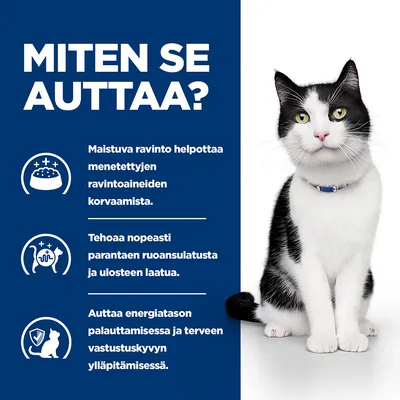 Teksti: MITEN SE AUTTAA? Maistuva ravinto helpottaa menetettyjen ravintoaineiden korvaamista. Tehoaa nopeasti parantaen ruoansulatusta ja ulosteen laatua. Auttaa energiatason palauttamisessa.