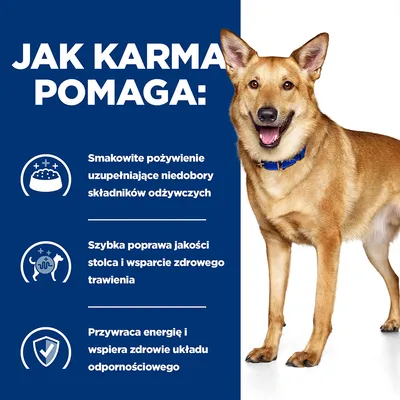 Jak karma pomaga: Smakowite pożywienie uzupełniające niedobory składników odżywczych, szybka poprawa jakości stolca i wsparcie trawienia, przywraca energię i wspiera odporność.