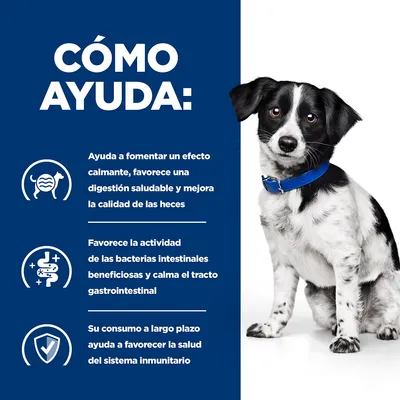Texto: Cómo ayuda. Ayuda a fomentar un efecto calmante, favorece una digestión saludable y mejora la calidad de las heces. Favorece bacterias intestinales y sistema inmunitario.