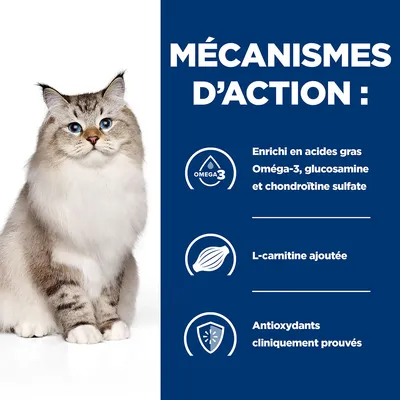 MÉCANISMES D’ACTION : Enrichi en acides gras Oméga-3, glucosamine et chondroïtine sulfate. L-carnitine ajoutée. Antioxydants cliniquement prouvés.