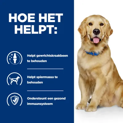 Hoe het helpt: Helpt gewrichtskraakbeen te behouden, helpt spiermassa te behouden, ondersteunt een gezond immuunsysteem. Zittende hond met blauwe halsband zichtbaar.