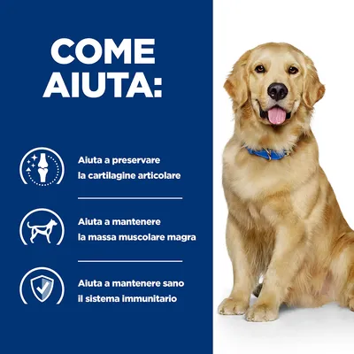 COME AIUTA: Aiuta a preservare la cartilagine articolare, a mantenere la massa muscolare magra e a mantenere sano il sistema immunitario. Immagine di un cane seduto con collare blu.