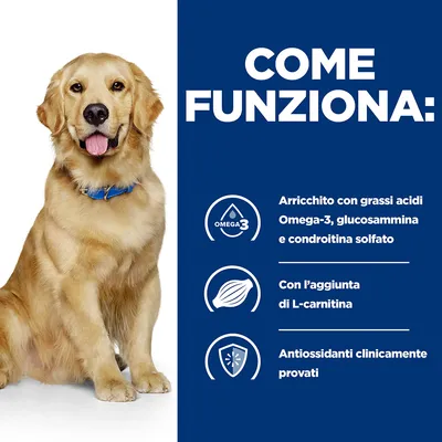 COME FUNZIONA: Arricchito con grassi acidi Omega-3, glucosammina e condroitina solfato. Con l’aggiunta di L-carnitina. Antiossidanti clinicamente provati.