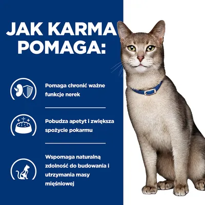 Jak karma pomaga: pomaga chronić ważne funkcje nerek, pobudza apetyt i zwiększa spożycie pokarmu, wspomaga naturalną zdolność do budowania i utrzymania masy mięśniowej.