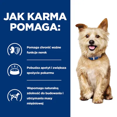 Jak karma pomaga: chroni funkcje nerek, pobudza apetyt i zwiększa spożycie pokarmu, wspomaga budowanie i utrzymanie masy mięśniowej. Obok siedzi pies.