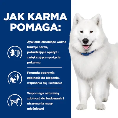 Jak karma pomaga: żywienie chroniące funkcje nerek, pobudzające apetyt, poprawa zdolności do biegania, wspinania się i skakania, wsparcie budowy i utrzymania masy mięśniowej.