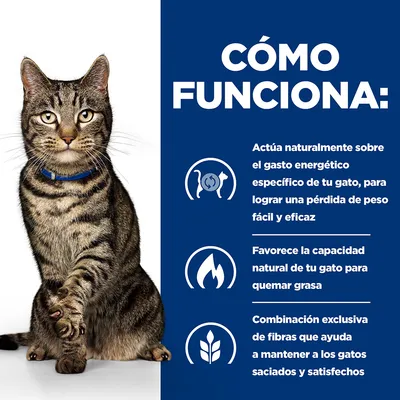 CÓMO FUNCIONA: Actúa naturalmente sobre el gasto energético específico de tu gato para lograr una pérdida de peso fácil y eficaz. Favorece la capacidad natural para quemar grasa. Combinación exclusiva de fibras que ayuda a mantener a los gatos saciados y satisfechos.