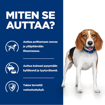 Teksti: Miten se auttaa? Auttaa polttamaan rasvaa ja ylläpitämään lihasmassaa. Auttaa koiraasi pysymään kylläisenä ja tyytyväisenä. Tukee tervettä vastustuskykyä.