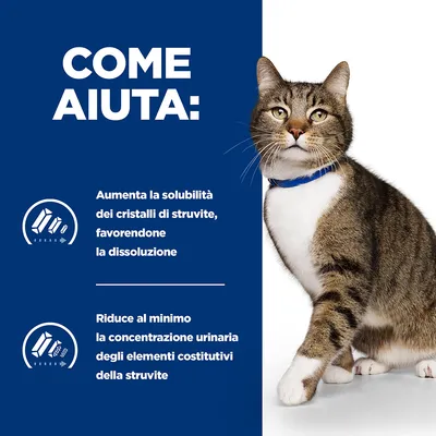COME AIUTA: Aumenta la solubilità dei cristalli di struvite, favorendone la dissoluzione. Riduce al minimo la concentrazione urinaria degli elementi costitutivi della struvite.