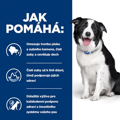 Text v češtine: Jak pomáhá: Omezuje tvorbu plaku a zubního kamene, čistí zuby a osvěžuje dech. Čistí zuby až k linii dásní, čímž podporuje jejich zdraví. Důležitá výživa pre psa.